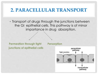 BIOPHAMACEUICS- UNIT 1- DRUG ABSORPTION