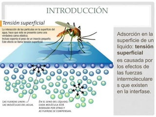 INTRODUCCIÓN
Adsorción en la
superficie de un
liquido: tensión
superficial
es causada por
los efectos de
las fuerzas
intermoleculare
s que existen
en la interfase.
 