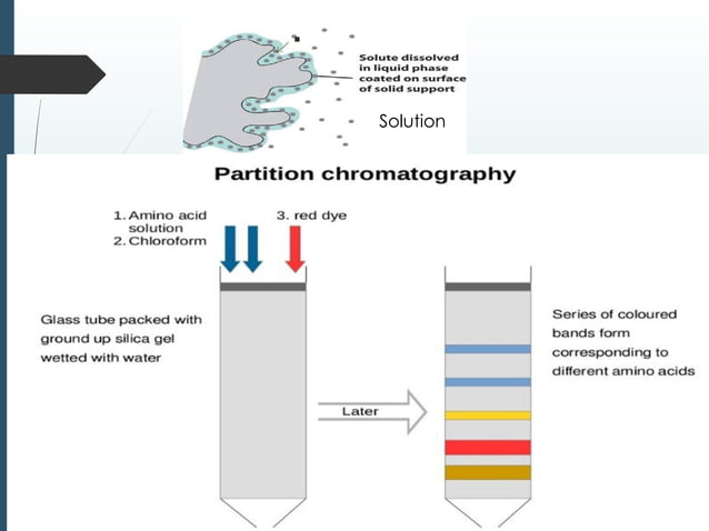 Adsorption and partition column chromatography.pptx | Chemistry | Science