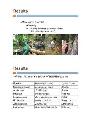 Results

         Main source of income
              Farming
              Gathering of forest resources (rattan
               poles, almaciga resin, etc.)




Results
  Forest is the main source of herbal medicine

Family                Botanical Name             Local Name
Menispermaceae        Arcangelisia flava         Albutra
Araliaceae            Scefflera sp.              Parina
Pinaceae              Pinus merkusii             Pine tree
Lecythidaceae         Barringtonia racemosa      Putat
Rubiaceae             Morinda citrifolia         Bangkudo
Zingiberaceae         Zingiber sp.               Langkawas
Lauraceae             Beilschmiedia lucidula     Kalingag
 
