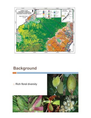 Background


…   Rich floral diversity
 