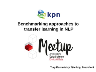 Benchmarking approaches to
transfer learning in NLP
Yury Kashnitskiy, Gianluigi Bardelloni
 