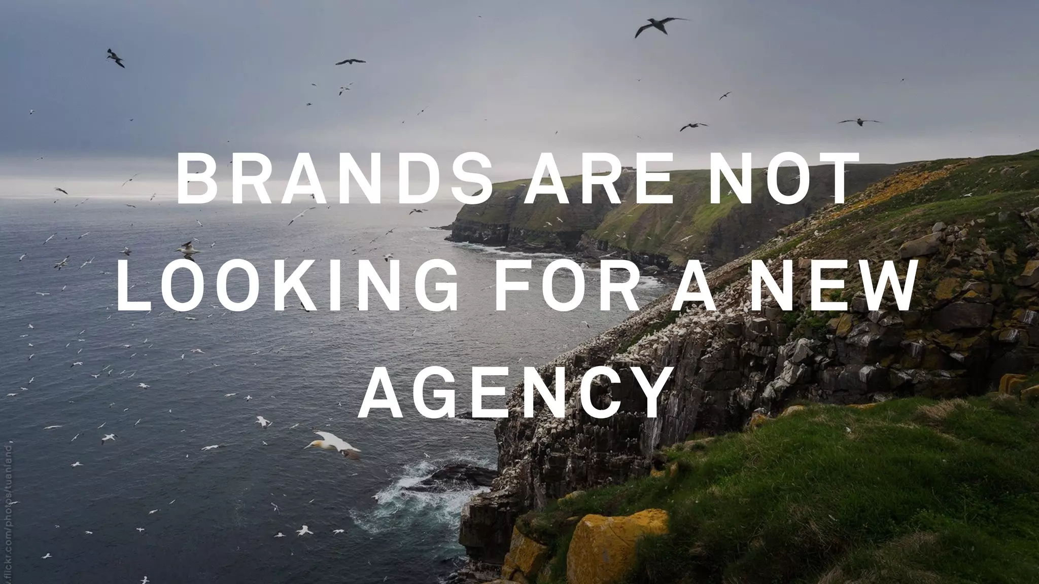 THEY WANT TO USE
THE INDUSTRY
CONVERGENCE TO
THEIR ADVANTAGE
 