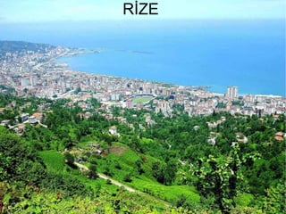 RİZE  