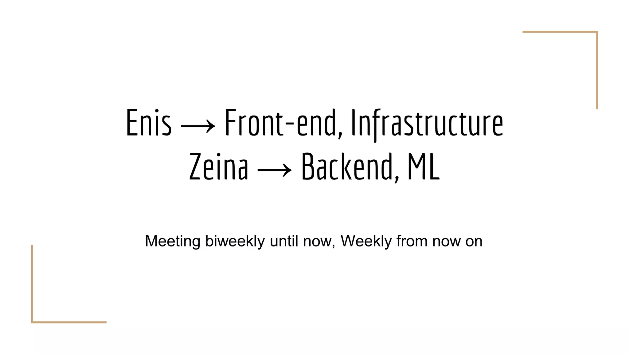Enis → Front-end, Infrastructure
Zeina → Backend, ML
Meeting biweekly until now, Weekly from now on