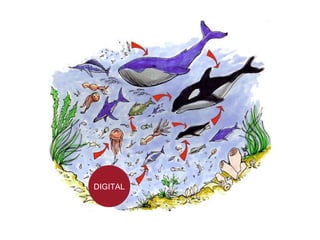 DIGITAL Perhaps the best way to explain this misuse of digital is to consider where it is seen to sit in the food chain. B...