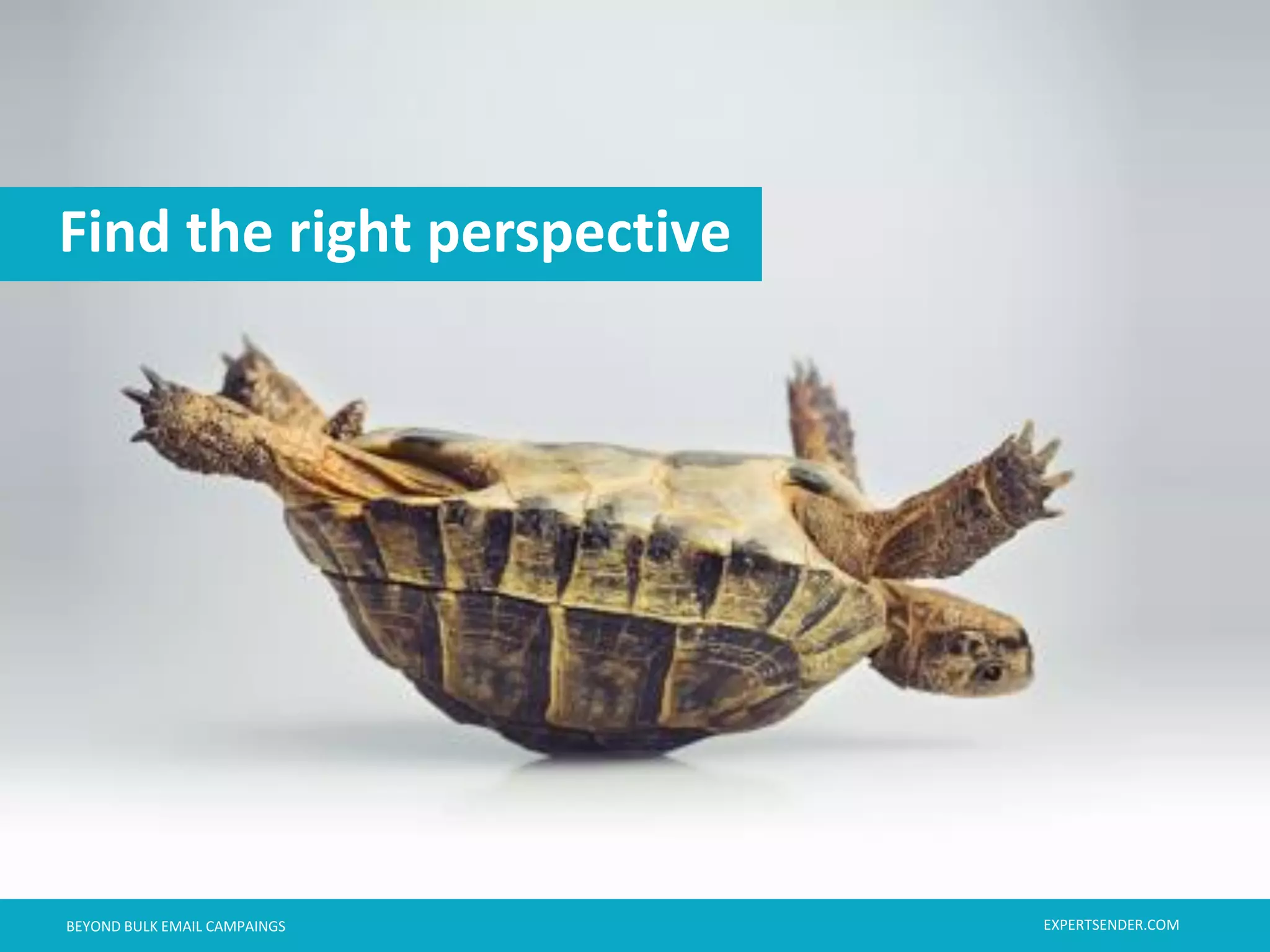 London, September 11, 2013BEYOND BULK EMAIL CAMPAINGSBEYOND BULK EMAIL CAMPAINGS
Find the right perspective
EXPERTSENDER.COM
 