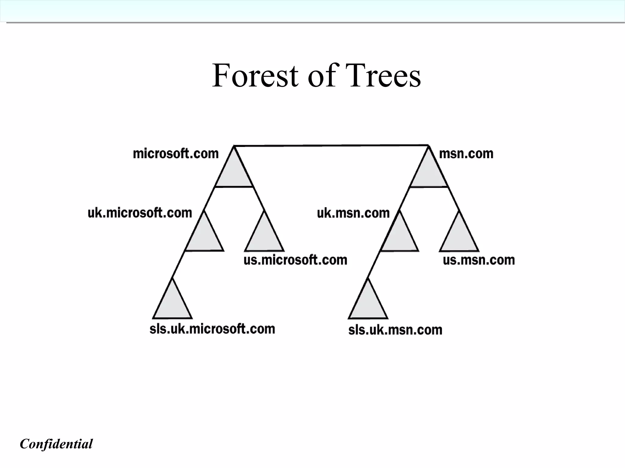 Forest of Trees Confidential   