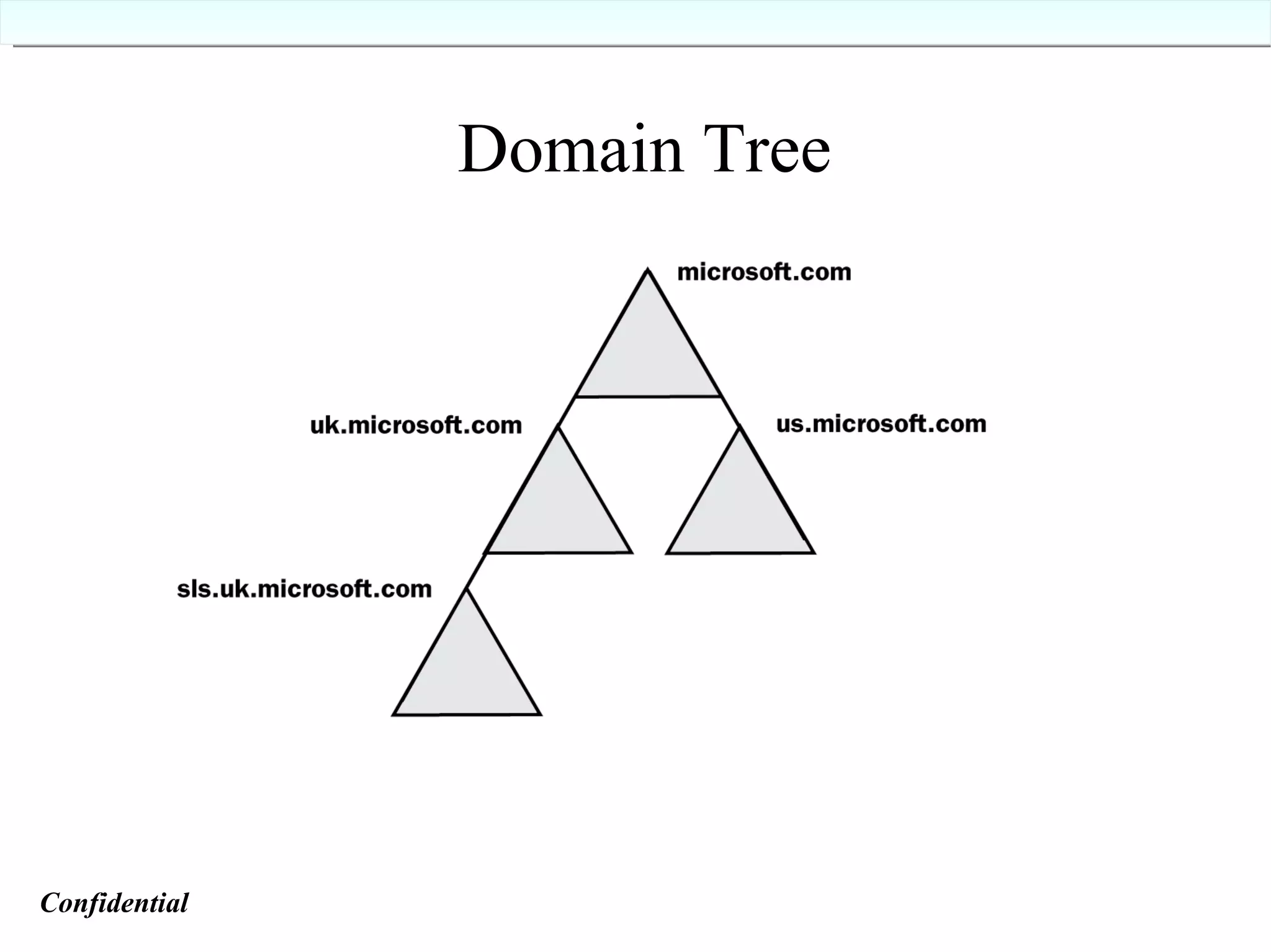 Domain Tree Confidential   