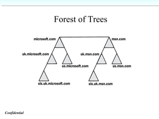 Forest of Trees Confidential   