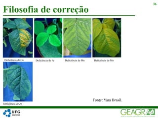 Filosofia de correção
36
Deficiência de Cu Deficiência de Fe Deficiência de Mn Deficiência de Mo
Deficiência de Zn
Fonte: Yara Brasil.
 