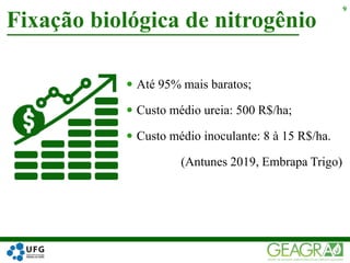  Até 95% mais baratos;
 Custo médio ureia: 500 R$/ha;
 Custo médio inoculante: 8 à 15 R$/ha.
(Antunes 2019, Embrapa Trigo)
Fixação biológica de nitrogênio
9
 