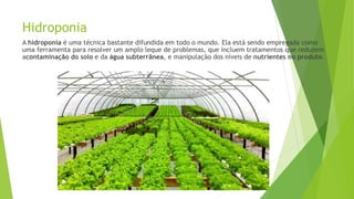 Hidroponia
A hidroponia é uma técnica bastante difundida em todo o mundo. Ela está sendo empregada como
uma ferramenta para resolver um amplo leque de problemas, que incluem tratamentos que reduzem
acontaminação do solo e da água subterrânea, e manipulação dos níveis de nutrientes no produto.
 