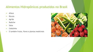 Alimentos Hidropônicos produzidos no Brasil
 Alface
 Rúcula
 Agrião
 Radiche
 Salsa
 Cebolinha
 E também frutos, flores e plantas medicinais
 