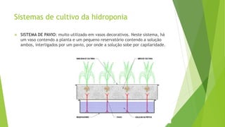 Sistemas de cultivo da hidroponia
 SISTEMA DE PAVIO: muito utilizado em vasos decorativos. Neste sistema, há
um vaso contendo a planta e um pequeno reservatório contendo a solução
ambos, interligados por um pavio, por onde a solução sobe por capilaridade.
 
