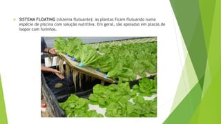  SISTEMA FLOATING (sistema flutuante): as plantas ficam flutuando numa
espécie de piscina com solução nutritiva. Em geral, são apoiadas em placas de
isopor com furinhos.
 