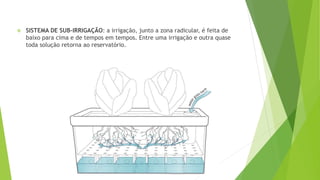  SISTEMA DE SUB-IRRIGAÇÃO: a irrigação, junto a zona radicular, é feita de
baixo para cima e de tempos em tempos. Entre uma irrigação e outra quase
toda solução retorna ao reservatório.
 