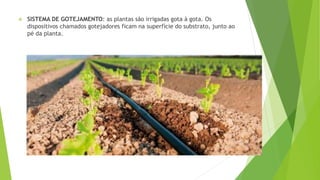  SISTEMA DE GOTEJAMENTO: as plantas são irrigadas gota à gota. Os
dispositivos chamados gotejadores ficam na superfície do substrato, junto ao
pé da planta.
 