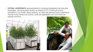  SISTEMA AEROPONICO :provavelmente é o sistema hidropônico de mais alta
tecnologia, até certo ponto similar ao sistema N.F.T. O meio de cultura
utilizado é o Ar Úmido. Neste sistema, as raízes das plantas ficam suspensas e
imersas numa Câmara de Cultivo, onde são aspergidas com uma névoa de
solução nutritiva.
 