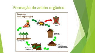 Formação do adubo orgânico
 
