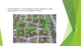  Cinza de Madeira - É rica em Potássio, Cálcio e Magnésio. É quase
imperceptível a presença de Nitrogênio e Fósforo
 