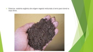  Estercos -matéria orgânica de origem vegetal misturada à terra para torná-la
mais fértil.
 