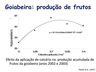 Goiabeira: produção de frutos
Efeito da aplicação de calcário na produção acumulada de
frutos da goiabeira (anos 2002 e 2003)
y=37,13+3,439x-0,3565x2
R2
=0,92**
35
39
43
47
0 1,85 3,7 5,55 7,4
Calcárioaplicado,tha-1
Produçãoacumuladadefrutos,tha-1
(b)
Natale et al., (2007)
 