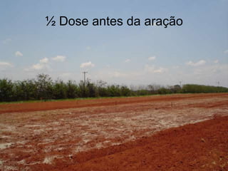 ½ Dose antes da aração
 