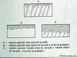 Volkweiss; Ludwick, 1971
 