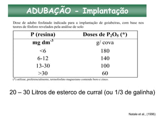 ADUBAÇÃO - Implantação
Dose de adubo fosfatado indicada para a implantação de goiabeiras, com base nos
teores de fósforo revelados pela análise de solo
P (resina) Doses de P2O5 (*)
mg dm-3
g/ cova
<6 180
6-12 140
13-30 100
>30 60
(*) utilizar, preferencialmente, termofosfato magnesiano contendo boro e zinco.
20 – 30 Litros de esterco de curral (ou 1/3 de galinha)
Natale et al., (1996)
 