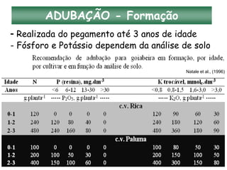- Realizada do pegamento até 3 anos de idade
- Fósforo e Potássio dependem da análise de solo
ADUBAÇÃO - Formação
Natale et al., (1996)
 
