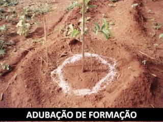 ADUBAÇÃO DE FORMAÇÃO
 