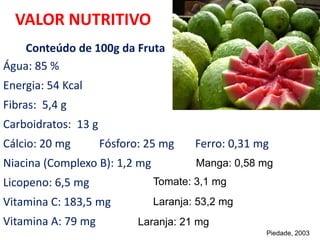 VALOR NUTRITIVO
Conteúdo de 100g da Fruta
Água: 85 %
Energia: 54 Kcal
Fibras: 5,4 g
Carboidratos: 13 g
Cálcio: 20 mg Fósforo: 25 mg Ferro: 0,31 mg
Niacina (Complexo B): 1,2 mg
Licopeno: 6,5 mg
Vitamina C: 183,5 mg
Vitamina A: 79 mg
Piedade, 2003
Manga: 0,58 mg
Tomate: 3,1 mg
Laranja: 53,2 mg
Laranja: 21 mg
 