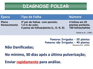 Época Tipo de Folha Número
Pleno
florescimento
3º par de folhas com pecíolo;
1,5 m do solo;
4 pares de folhas/planta (L, O, N, S)
4 folhas em 25
plantas portanto,
100 folhas/talhão
Natale et al., (1996)
DIAGNOSE FOLIAR
Não Danificadas;
No mínimo, 30 dias após a última pulverização;
Enviar rapidamente para análise.
Pomares Irrigados – 20 plantas
Pomares não Irrigados – 40 plantas
Rozane et al., (2009)
 