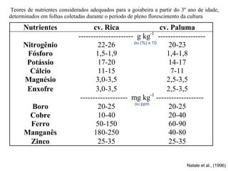 Teores de nutrientes considerados adequados para a goiabeira a partir do 3º ano de idade,
determinados em folhas coletadas durante o período de pleno florescimento da cultura
Nutrientes cv. Rica cv. Paluma
---------------------- g kg-1
-------------------
Nitrogênio 22-26 20-23
Fósforo 1,5-1,9 1,4-1,8
Potássio 17-20 14-17
Cálcio 11-15 7-11
Magnésio 3,0-3,5 2,5-3,5
Enxofre 3,0-3,5 2,5-3,5
------------------- mg kg-1
-------------------
Boro 20-25 20-25
Cobre 10-40 20-40
Ferro 50-150 60-90
Manganês 180-250 40-80
Zinco 25-35 25-35
ou (%) x 10
ou ppm
Natale et al., (1996)
 