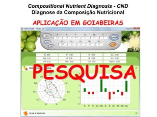 Compositional Nutrient Diagnosis - CND
Diagnose da Composição Nutricional
APLICAÇÃO EM GOIABEIRAS
PESQUISA
 