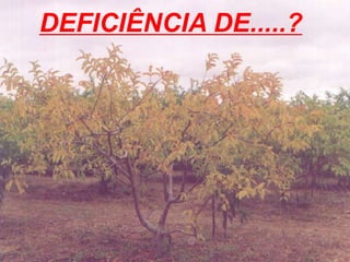 DEFICIÊNCIA DE.....?
 