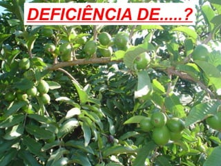 DEFICIÊNCIA DE.....?
 