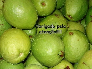 danilorozane@registro.unesp.br
Obrigado pela
atenção!!!!!
 