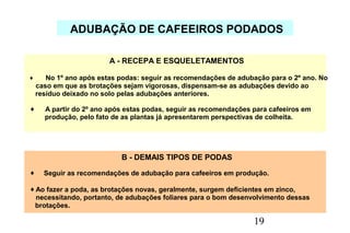 19
ADUBAÇÃO DE CAFEEIROS PODADOS
A - RECEPA E ESQUELETAMENTOS
♦ No 1º ano após estas podas: seguir as recomendações de adubação para o 2º ano. No
caso em que as brotações sejam vigorosas, dispensam-se as adubações devido ao
resíduo deixado no solo pelas adubações anteriores.
♦ A partir do 2º ano após estas podas, seguir as recomendações para cafeeiros em
produção, pelo fato de as plantas já apresentarem perspectivas de colheita.
B - DEMAIS TIPOS DE PODAS
♦ Seguir as recomendações de adubação para cafeeiros em produção.
♦Ao fazer a poda, as brotações novas, geralmente, surgem deficientes em zinco,
necessitando, portanto, de adubações foliares para o bom desenvolvimento dessas
brotações.
 