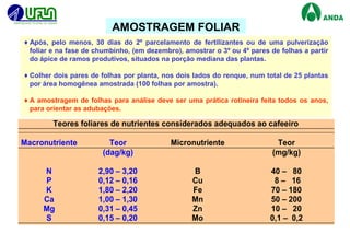 23
AMOSTRAGEM FOLIAR
♦Após, pelo menos, 30 dias do 2º parcelamento de fertilizantes ou de uma pulverização
foliar e na fase de chumbinho, (em dezembro), amostrar o 3º ou 4º pares de folhas a partir
do ápice de ramos produtivos, situados na porção mediana das plantas.
♦Colher dois pares de folhas por planta, nos dois lados do renque, num total de 25 plantas
por área homogênea amostrada (100 folhas por amostra).
♦A amostragem de folhas para análise deve ser uma prática rotineira feita todos os anos,
para orientar as adubações.
Teores foliares de nutrientes considerados adequados ao cafeeiro
Macronutriente Teor Micronutriente Teor
(dag/kg) (mg/kg)
N 2,90 – 3,20 B 40 – 80
P 0,12 – 0,16 Cu 8 – 16
K 1,80 – 2,20 Fe 70 – 180
Ca 1,00 – 1,30 Mn 50 – 200
Mg 0,31 – 0,45 Zn 10 – 20
S 0,15 – 0,20 Mo 0,1 – 0,2
 