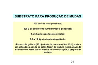 30
SUBSTRATO PARA PRODUÇÃO DE MUDAS
700 dm3
de terra peneirada;
300 L de esterco de curral curtido e peneirado;
3 a 5 kg de superfosfato simples;
0,5 a 1,0 kg de cloreto de potássio.
- Esterco de galinha (80 L) e torta de mamona (10 a 15 L) podem
ser utilizados quando os solos forem de textura média, devendo
a semeadura neste caso ser feita 30 a 40 dias após o preparo da
mistura.
 