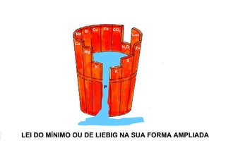 34
P
Representação da Lei do Mínimo de Liebig, na sua forma ampliada.
Fonte: Alcarde et al., 1991.
o o
CuB
Mg
Fe CO2
Ca
ZnH2O
Luz
K
N
S
Mn
LEI DO MÍNIMO OU DE LIEBIG NA SUA FORMA AMPLIADA
 