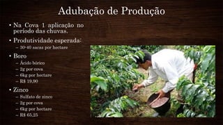 Adubação de Produção
• Na Cova 1 aplicação no
período das chuvas.
• Produtividade esperada:
– 30-40 sacas por hectare
• Boro
– Ácido bórico
– 2g por cova
– 6kg por hectare
– R$ 19,90
• Zinco
– Sulfato de zinco
– 2g por cova
– 6kg por hectare
– R$ 65,25
 
