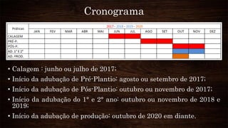 Cronograma
• Calagem : junho ou julho de 2017;
• Início da adubação de Pré-Plantio: agosto ou setembro de 2017;
• Início da adubação de Pós-Plantio: outubro ou novembro de 2017;
• Início da adubação do 1° e 2° ano: outubro ou novembro de 2018 e
2019;
• Início da adubação de produção: outubro de 2020 em diante.
 