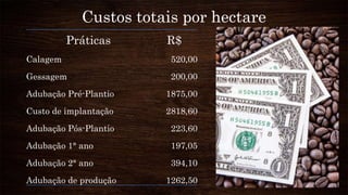 Custos totais por hectare
Práticas R$
Calagem 520,00
Gessagem 200,00
Adubação Pré-Plantio 1875,00
Custo de implantação 2818,60
Adubação Pós-Plantio 223,60
Adubação 1° ano 197,05
Adubação 2° ano 394,10
Adubação de produção 1262,50
 