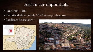 Área a ser implantada
• Capelinha – MG
• Produtividade esperada 30-40 sacas por hectare
• Condições de sequeiro
 