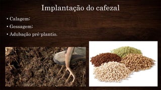Implantação do cafezal
• Calagem;
• Gessagem;
• Adubação pré-plantio.
 