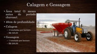 Calagem e Gessagem
• Área total (3 meses
antes do período
chuvoso).
• 40cm de profundidade
• Calagem
– 4 toneladas por hectare
– R$ 520,00
• Gessagem
– 1 tonelada por hectare
– R$ 200,00
 