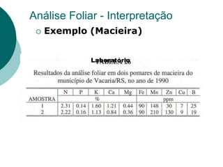 Análise Foliar - Interpretação
 Exemplo (Macieira)
Laboratório
 